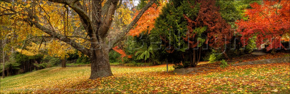 Peter Bellingham Photography Bogong - VIC (PBH3 00 34443)